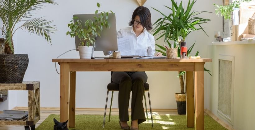 working in the netherlands