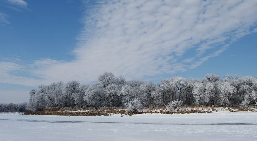 PR in Manitoba for international students