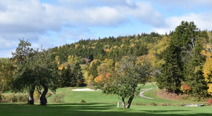 Top Universities in New Brunswick